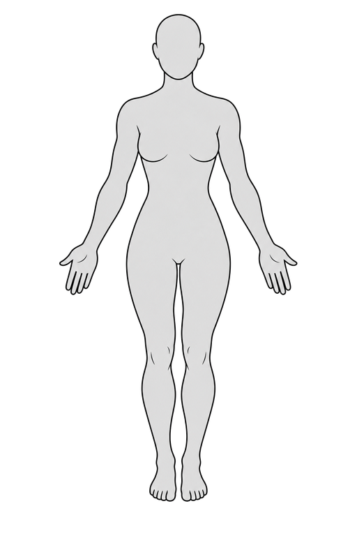 Front view body figure used for the regional composition map
